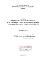 Nghiên cứu đặc trưng chất lượng ngọc ruby, saphir và xây dựng các quy trình công nghệ xử lý nhiệt nâng cấp chất lượng đá quý việt nam 