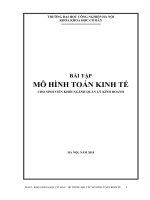 Xây dựng hệ thống bài tập mô hình toán kinh tế cho sinh viên khối ngành quản lý kinh doanh