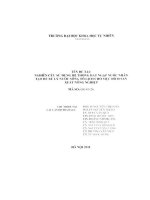 Nghiên cứu sử dụng hệ thống đất ngập nước nhân tạo để xử lý nước sông tô lịch cho mục đích sản xuất nông nghiệp 