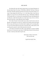 Giải pháp nâng cao hiệu quả kinh doanh xuất khẩu sản phẩm cáp dữ liệu sang thị trường Trung Quốc của công ty TNHH Broad Việt Nam