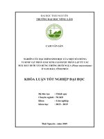 Nghiên cứu đặc điểm sinh học của một số chủng vi sinh vật phân giải xenlulo được phân lập từ các mẫu đất dưới tán rừng thông đuôi ngựa (piius massoniana) ở tam đảo, vĩnh phúc 