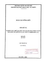 Nghiên cứu chế tạo xúc tác quang hoá trên cơ sở bán dẫn TIO2 để xử lí các chất ô nhiễm hữu cơ 