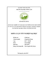 Bước đầu nghiên cứu bảo quản gỗ thông từ vỏ và lá cây bạch đàn trắng (eucalyptus camadulensis dehnh) tại trường đại học nông lâm thái nguyên 