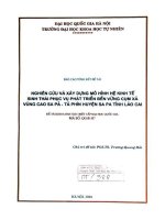 Nghiên cứu và xây dựng mô hình hệ kinh tế sinh thái phục vụ phát triển bền vững cụm xã vùng cao sa pả   tả phìn, huyện sa pa, tỉnh lào cai 