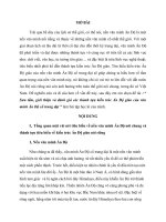Bài tập lịch sử văn minh: Sưu tầm, giới thiệu và đánh giá các thành tựu kiến trúc Ấn Độ giáo của văn minh Ấn Độ cổ trung đại
