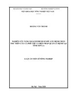 Nghiên cứu nấm colletotrichum spp  gây bệnh thán thư trên cây cà phê chè và biện pháp quản lý bệnh tại tỉnh sơn la 