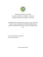 DETERMINACIÓN DE LA PRESENCIA DE Staphylococcus spp. COAGULASA POSITIVO Y SUS PATRONES DE RESISTENCIA A ANTIBIÓTICOS EN CASOS DE PIODERMATITIS CANINA EN LA CLÍNICA VETERINARIA FMVZ-UCE