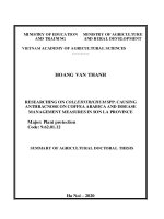 Nghiên cứu nấm colletotrichum spp  gây bệnh thán thư trên cây cà phê chè và biện pháp quản lý bệnh tại tỉnh sơn la tt tiếng anh 