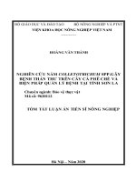 Nghiên cứu nấm colletotrichum spp  gây bệnh thán thư trên cây cà phê chè và biện pháp quản lý bệnh tại tỉnh sơn la tt 