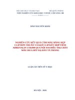 Nghiên cứu kết quả cầm máu bằng kẹp clip đơn thuần và kẹp clip kết hợp tiêm adrenalin 1 10 000 qua nội soi điều trị chảy máu do loét dạ dày tá tràng 