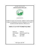 Nghiên cứu khả năng hấp thụ carbon của rừng trồng sa mộc (cunnighamia lanceolata hook) ở các tuổi 5,7 tại huyện mường khương, tỉnh lào cai 