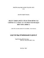 Luận văn thạc sỹ - Hoàn thiện phân tích tình hình tài chính của Công ty cổ phần Bánh kẹo Biên Hòa Bibica”