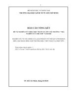 Nghiên cứu về tác động của sản phẩm ô tô vinfast (vingroup) đến cảm nhận hình ảnh thương hiệu việt nam của sinh viên