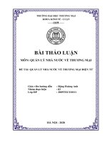 thảo luân nhóm quản lý nhà nước về thương mại đề tài quản lý nhà nước về thương mại điện tử 