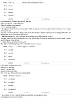 Thionline Cautaotuvatuloai1ET1004 DA 