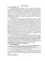 sáng kiến kinh nghiệm hướng dẫn hs dân tộc thiểu số giải bài toán bằng cách lập phương trình