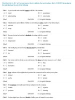 Thionline tudongnghia trainghia13 DE 