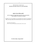NGHIÊN CỨU VỀ TÁC ĐỘNG CỦA SẢN PHẨM Ô TÔ VINFAST (VINGROUP) ĐẾN CẢM NHẬN HÌNH ẢNH THƯƠNG HIỆU VIỆT NAM CỦA SINH VIÊN