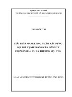 Giải pháp marketing nhằm xây dựng lợi thế cạnh tranh của công ty cổ phần đầu tư và thương mại TNG 