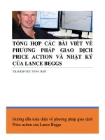 Phương pháp giao dịch Price action và nhật ký của Lance Baggs