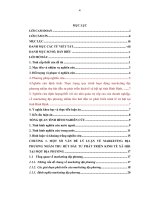 Đẩy mạnh marketing địa phương nhằm thu hút đầu tư phát triển kinh tế - xã hội ở tỉnh Bình Định