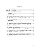 báo cáo thực tập giữa khóa tác động của FDI với kinh tế xã hội việt nam 