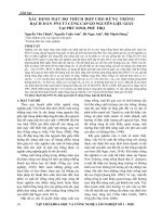 Xác định mật độ thích hợp cho rừng trồng bạch đàn PNCT3 cung cấp gỗ nguyên liệu giấy tại Phù Ninh, Phú Thọ