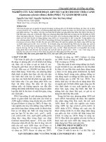 Nghiên cứu xác định đoạn ADN mã vạch cho dây thìa canh (Gymnema sylvestre (Retz.) R.Br) phục vụ giám định loài