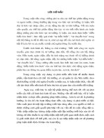 Tiểu luận: Nguyên tắc thống nhất giữa lý luận và thực tiễn trong việc phát triển lý luận ở Việt Nam hiện nay