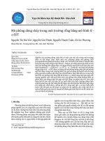 Mô phỏng dòng chảy trong môi trường rỗng bằng mô hình K - WSST