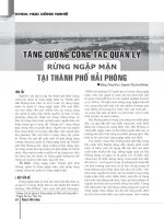 Tăng cường công tác quản lý rừng ngập mặn tại thành phố Hải Phòng