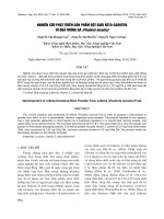 Nghiên cứu phát triển sản phẩm bột giàu beta-caroten từ quả trứng gà (Pouteria lucuma)