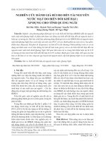 Nghiên cứu đánh giá rủi ro đến tài nguyên nước mặt do biến đổi khí hậu - áp dụng cho tỉnh Quảng Ngãi