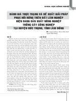 Đánh giá thực trạng và đề xuất giải pháp phục hồi rừng trên đất lâm nghiệp hiện đang sản xuất nông nghiệp trồng cây công nghiệp tại huyện Đức Trọng, tỉnh Lâm Đồng