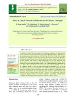 Study on genetic diversity in reference set of chickpea genotypes