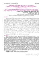 Ảnh hưởng của vi khuẩn Lactobacillus fermentum đến một số chỉ tiêu miễn dịch và khả năng kháng bệnh của cá chẽm (Lates calcarifer)