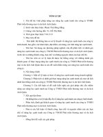 Giải pháp nâng cao năng lực cạnh tranh cho công ty TNHH phát triển thương mại và du lịch anh quân 