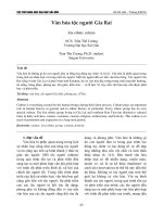 Văn hóa tộc người Gia Rai