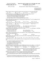 Đề KSCL lần 1 môn Vật lí lớp 10 năm 2019-2020 - THPT Yên Lạc - Mã đề 107