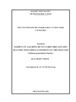 NGHIÊN CỨU TẠO DÒNG RỄ TƠ VÀ BIỂU HIỆN GEN LIÊN QUAN ĐẾN TỔNG HỢP FLAVONOID Ở CÂY THỔ NHÂN SÂM (Talinum paniculatum Gaertn.)