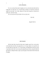 Phát triển cho vay tiêu dùng tín chấp đối với khách hàng có lương trả qua thẻ ATM tại Ngân hàng TMCP Đầu tư và Phát triển Việt Nam chi nhánh Quảng Ninh