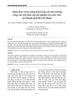 Nhận thức về kỹ năng thích ứng với môi trường công việc khi thực tập tốt nghiệp của sinh viên tại thành phố Hồ Chí Minh