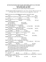 Đề thi thử THPT Quốc gia môn Hóa học năm 2020 - THPT Tôn Đức Thắng