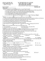 Đề thi thử THPT Quốc gia môn Địa Lí năm 2020 - THPT Ngô Gia Tự