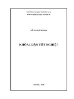 Triển khai chiến lược kinh doanh đối với khách du lịch nội địa của khách sạn thống nhất metropole 