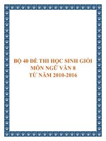 Bộ 40 đề thi học sinh giỏi môn Ngữ văn lớp 8 từ năm 2010 đến năm 2016