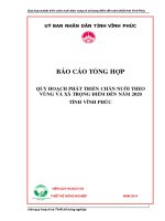 BÁO CÁO TỔNG HỢP QUY HOẠCH PHÁT TRIỂN CHĂN NUÔI THEO VÙNG VÀ XÃ TRỌNG ĐIỂM ĐẾN NĂM 2020 TỈNH VĨNH PHÚC
