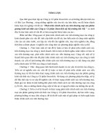 Phát triển chính sách xúc tiến thương mại sản phẩm gương kính nội thất của công ty cổ phần doorclick tại thị trường hà nội 