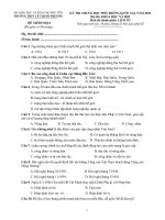 Đề thi thử THPT Quốc gia môn Lịch sử năm 2020 - THPT Lê Thành Phương