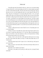 Hoàn thiện công tác quản trị rủi ro tại công ty cổ phần dược phẩm quốc tế CTT việt nam 